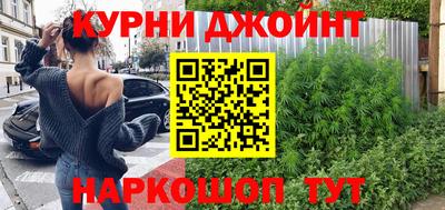 мяу мяу мука Гатчина