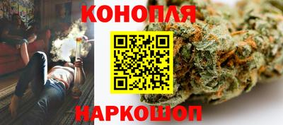 СК Гагарин